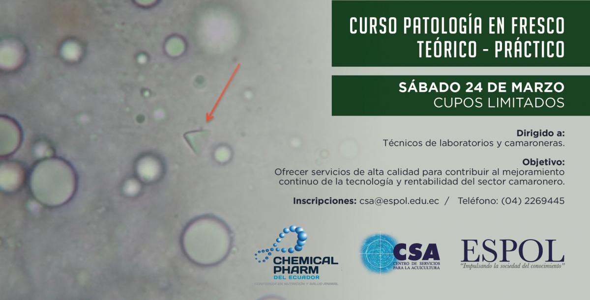 CURSO PATOLOGIA EN FRESCO